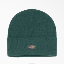 Dickies Latvija | Dickies Aproču adīts beanie piederumi unisekss L48661499 meža zaļš (ZFT)