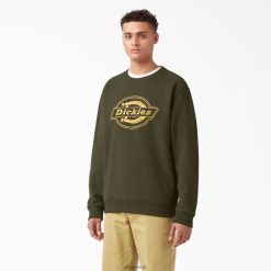 Dickies Latvija | Dickies Fleece logotipa grafiskais sporta krekls apģērbs vīrieši L48661213 regulārs