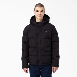 Dickies Latvija | Dickies Glacier View Anorak Puffer jaka apģērbs vīrieši L48661177 regulārs