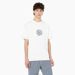 Dickies Latvija | Dickies T-krekls Beavrautown īsās piedurknes apģērbs vīrieši L4866873 mākonis (CL9)