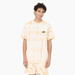 Dickies Latvija | Dickies Westfir īsās piedurknes t-krekls apģērbs vīrieši L4866589 Impala (MA2)