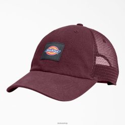 Dickies Latvija | Dickies audekla kravas automašīnas cepure piederumi unisekss L48662851 Burgundija (pēc)