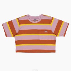 Dickies Latvija | Dickies svītrains apgriezts t-krekls apģērbs sievietes L48662017 Ingvera lapsas koleģiāla josla (XSR)