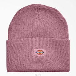 Dickies Riga | Dickies Aproču adīts beanie piederumi unisekss L48661488 Foxglove (F2G)