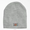 Dickies Riga | Dickies Flex izolēta sasilšanas beanie piederumi unisekss L48661478 Virši pelēkā (Hg)