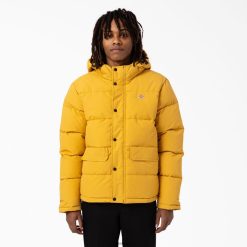 Dickies Riga | Dickies Glacier View Anorak Puffer jaka apģērbs vīrieši L48661178 regulārs