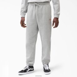 Dickies Riga | Dickies Mapleton Fleece Sweetpants apģērbs vīrieši L4866298 regulārs