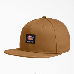 Dickies Riga | Dickies Skeitborda plakanā rēķina vāciņš piederumi unisekss L48662842 brūna pīle (BD)