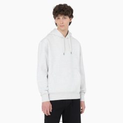 Dickies Riga | Dickies Summerdale Hoodie apģērbs vīrieši L48661182 Virši pelēkā (Hg)