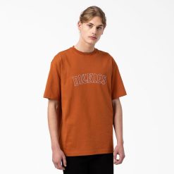 Dickies Riga | Dickies Union Springs īsās piedurknes t-krekls apģērbs vīrieši L4866798 piparkūkas brūnas (ti)