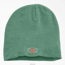 Dickies Riga | Dickies galvaskausa beanie piederumi unisekss L48662874 Tumšā efeja (D2i)