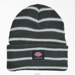 Dickies Riga | Dickies skeitborda aproce Beanie piederumi unisekss L48662824 kokogļu mini josla (CSM)