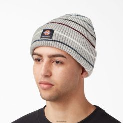 Dickies Riga | Dickies skeitborda aproce Beanie piederumi unisekss L48662826 Virši pelēkā svītra (HGS)