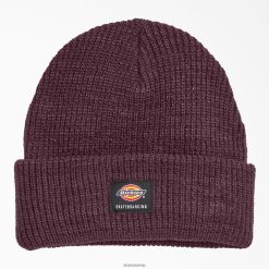 Dickies Riga | Dickies skeitborda aproce Beanie piederumi unisekss L48662828 Maroon (MR)